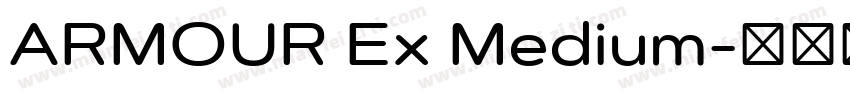 ARMOUR Ex Medium字体转换
